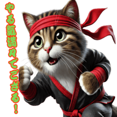[LINEスタンプ] 忍者猫の冒険！