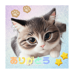 [LINEスタンプ] マンチカン猫可愛いスタンプ