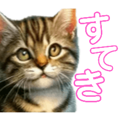 [LINEスタンプ] 毎日使える子猫ちゃん can use every day