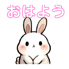 [LINEスタンプ] 毎日使える うさぎちゃん Rabbit