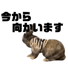 [LINEスタンプ] みみみみみみみみみみみみくん