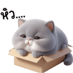 [LINEスタンプ] 段ボール箱の中のもふもふ猫