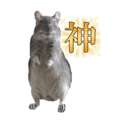 [LINEスタンプ] わかば＆おにぎりプリティケダマーズ