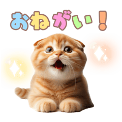 [LINEスタンプ] よく使う！パステル文字♡スコティッシュ