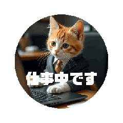 [LINEスタンプ] ももりんこ 動くねこスタンプ