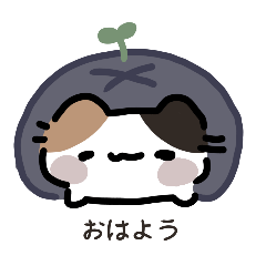 [LINEスタンプ] 猫！猫 ニューミ。