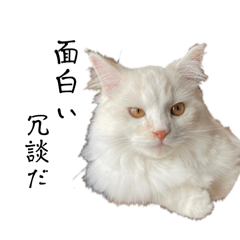 [LINEスタンプ] オス猫！Nike/ニケ Part 2