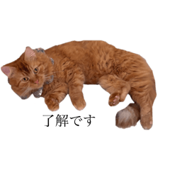 [LINEスタンプ] うにまーる（敬語）