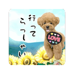 [LINEスタンプ] ペニ子☆スタンプ20241026