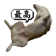 [LINEスタンプ] 三丸くん