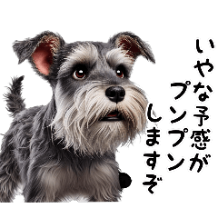 [LINEスタンプ] 犬のミニチュアシュナウザーです。