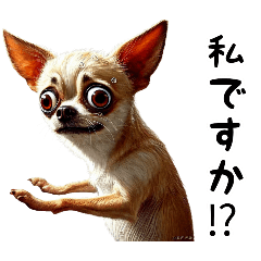 [LINEスタンプ] ビビリなチワワの奮闘記