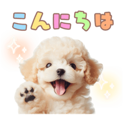 [LINEスタンプ] よく使う！ パステル文字♡ プードル❷