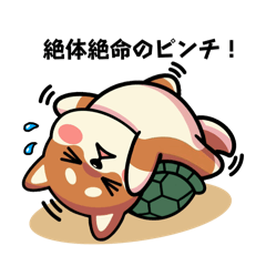 [LINEスタンプ] カメ柴ver3.0