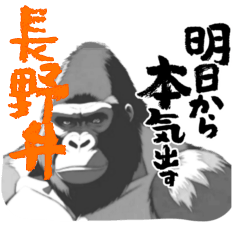 [LINEスタンプ] 迫力ゴリラ 長野弁