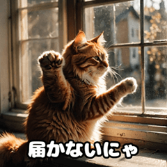 [LINEスタンプ] 掃除する猫