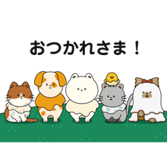 [LINEスタンプ] CHEEMAL(日常会話)