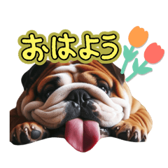 [LINEスタンプ] ブルすたんぷ✳︎