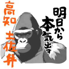 [LINEスタンプ] 迫力ゴリラ 高知 土佐弁