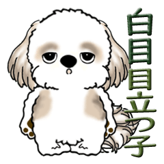 [LINEスタンプ] シーズー犬 2024『はっきり言う』