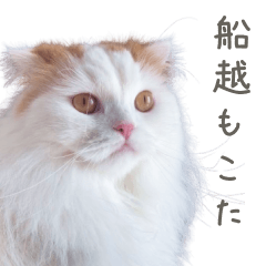 [LINEスタンプ] 船越もこた 日常ver