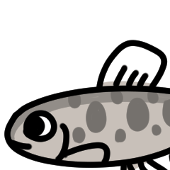 [LINEスタンプ] 山女魚（やまめ）の日常会話スタンプ