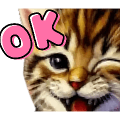 [LINEスタンプ] 猫ちゃん 使えるシリーズ