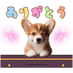 [LINEスタンプ] 日常で使えるコーギーの子犬スタンプ