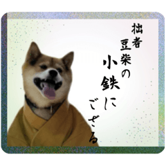 [LINEスタンプ] サムライ柴犬武士語スタンプ