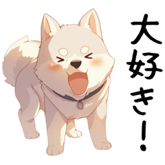 [LINEスタンプ] 愛を伝えたい白柴犬【好きすぎる・ラブ】