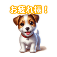 [LINEスタンプ] とにかくかわいい ジャックラッセルテリア