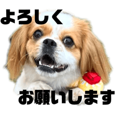 [LINEスタンプ] めめのめいりんの日常②