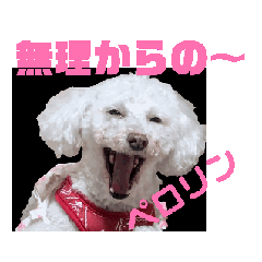 [LINEスタンプ] 保護犬 大福動きますその壱