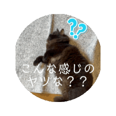 [LINEスタンプ] アポロモカ