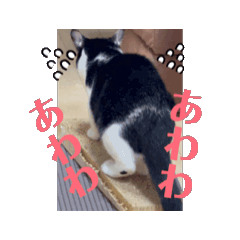 [LINEスタンプ] 動く終太郎