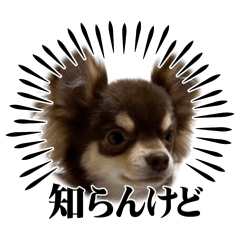 [LINEスタンプ] むにまる君