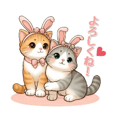 [LINEスタンプ] うさ耳つけたよ！(可愛い猫Ver.)