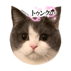 [LINEスタンプ] おもちスタンプ第3弾！の画像（メイン）