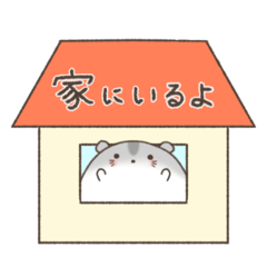 [LINEスタンプ] 家族連絡するハムスター＊もちハムちゃん