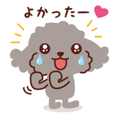 [LINEスタンプ] トイプードル色々_ずーっと使えるスタンプ