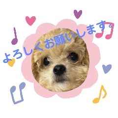 [LINEスタンプ] チリ強めパンチ♪レオン3