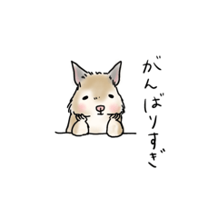 [LINEスタンプ] イエローデグーのきなこ②