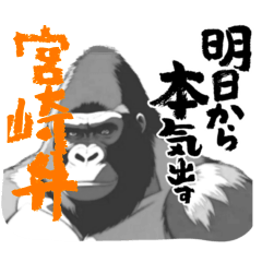 [LINEスタンプ] 迫力ゴリラ 宮崎弁