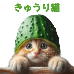 [LINEスタンプ] きゅうり猫