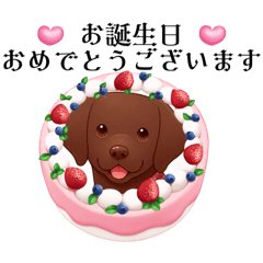 トイプーMOMO君とチョコラブちゃんの祝い編 | LINEスタンプ | マリン