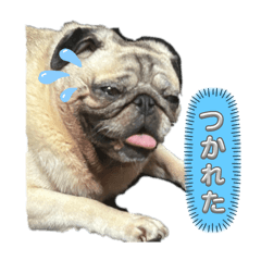 [LINEスタンプ] 意外に使えるクリモナカ
