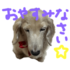 [LINEスタンプ] あたるゅ