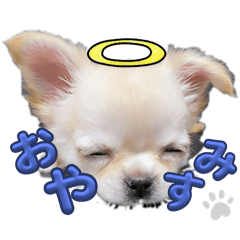 [LINEスタンプ] はちきゅんってくるスタンプwith仲間たち