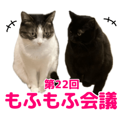 [LINEスタンプ] 実家のネコチャン