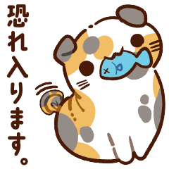 [LINEスタンプ] 【敬語】ぷくネコたちのスタンプ